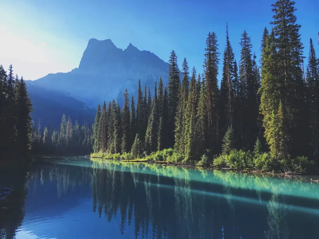 Scenic view of a serene mountain lake surrounded by tall pines under clear blue skies.